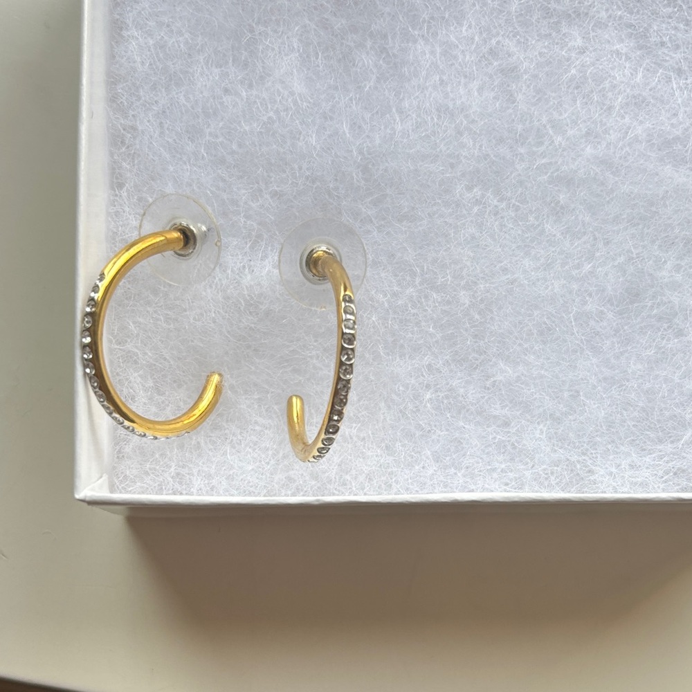 Elegant Gold  Hoop Earrings